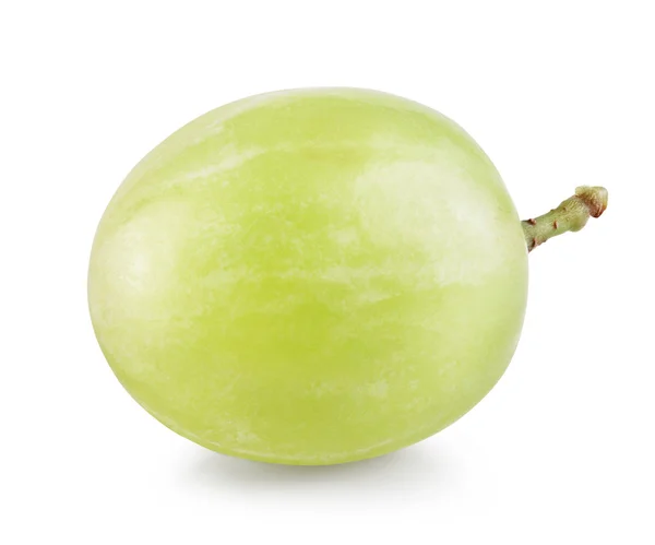 Druivenmost geïsoleerd — Stockfoto