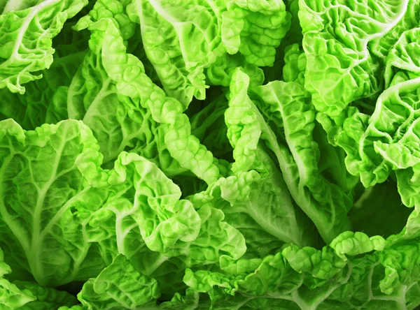 Fresh lettuce leaves — Stock Photo, Image