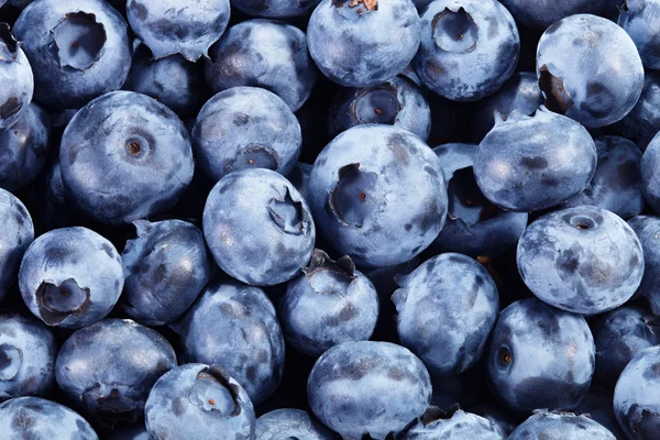 Fresh Blueberry background — Stock Photo, Image