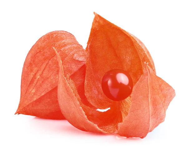 Cape Gooseberry or Physalis — Stock Photo, Image