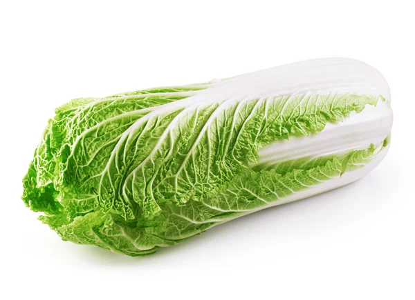 Romain lettuce isolated — Stockfoto