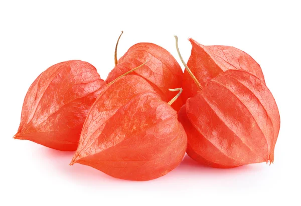 Physalis vruchten kruisbes — Stockfoto