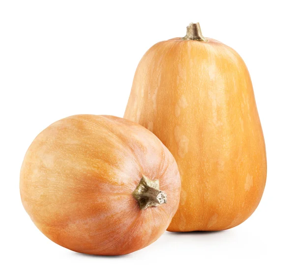 Calabazas grandes blancas — Foto de Stock