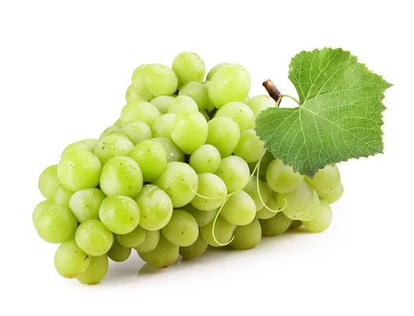 Färska gröna vindruvor — Stockfoto