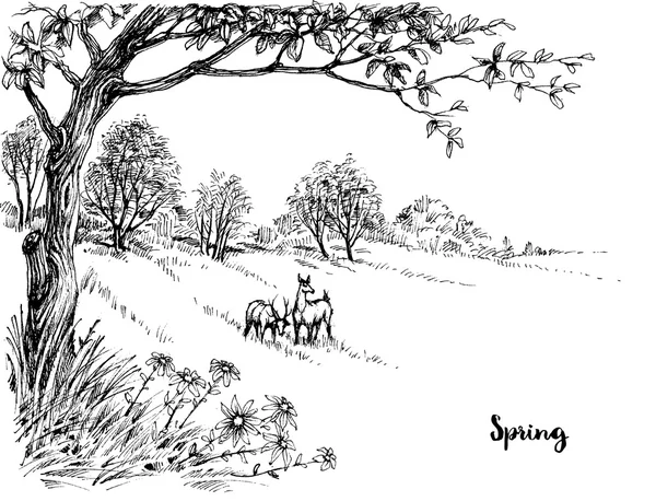 Spring ORIGINAL drawing - EkatArtBoutique - Drawings & Illustration,  Flowers, Plants, & Trees, Flowers, Flowers A-H, Daisy & Dianathus - ArtPal