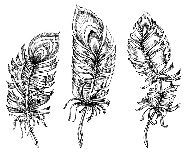 Plumas de pavo real dibujo artístico — Archivo Imágenes Vectoriales