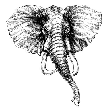 Картина, постер, плакат, фотообои "графика головы слона
", артикул 107443030