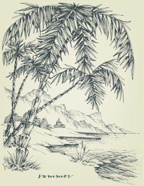 Yaz kroki. Palmiye ağaçları sahilde