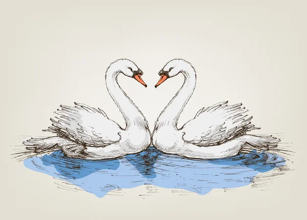 Twee zwanen op lake liefde symbool — Stockvector