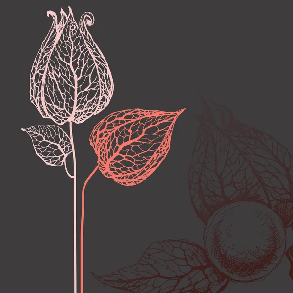 Flores vectoriales sobre fondo oscuro — Vector de stock