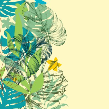  Arka plan bırakır. Tropikal bitki yaz kenarlık