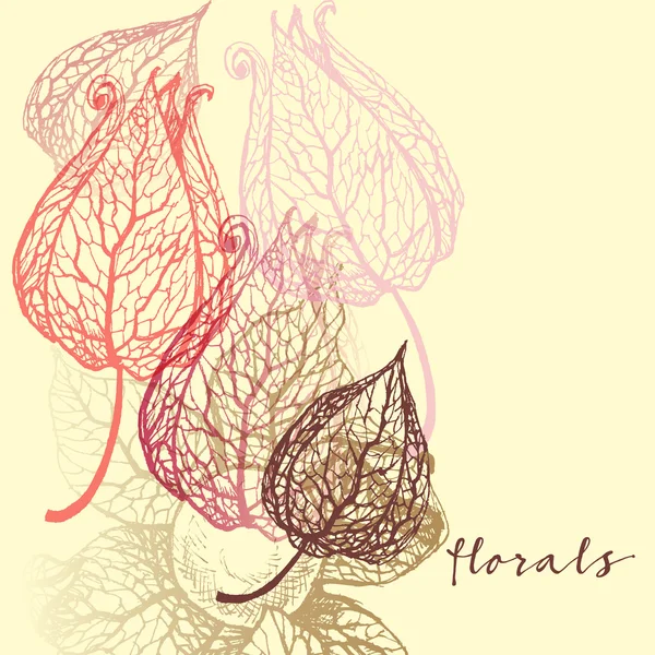 Fond floral. Conception de Physalis — Image vectorielle