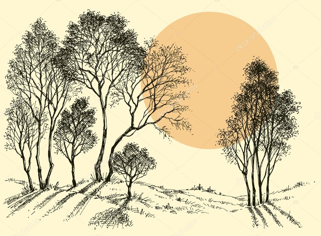 Wald Tapete depositphotos 114106732 stock illustration sunset in the forest trees - Wald Tapete