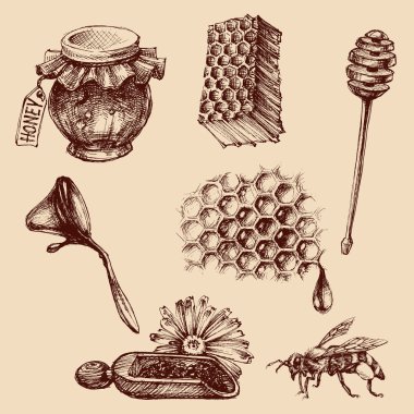 Bal ve apiculture ayarlayın. Arı vektör simgeler koleksiyonu