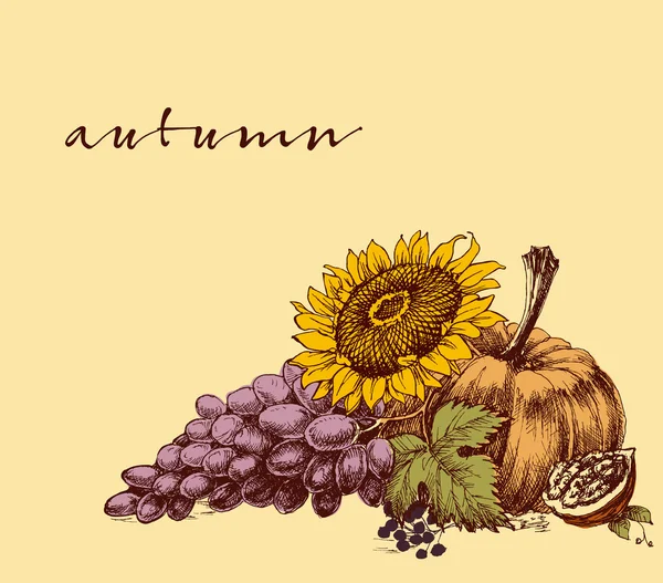 秋季水果背景。收获节传单或海报 — 图库矢量图片