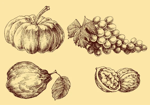 Ensemble de vecteurs de fruits dessinés à la main — Image vectorielle
