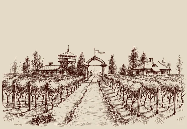 Dibujo vectorial de viñedo, estilo etch. Entrada a la granja — Vector de stock