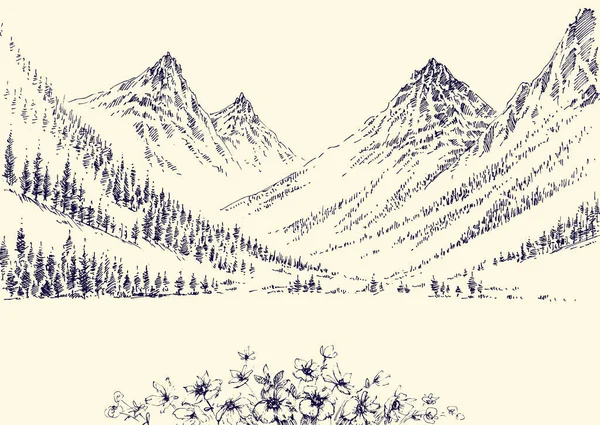 Montanhas Panorama Pinheiro Alpino Floresta Paisagem Mão Desenho —  Vetores de Stock