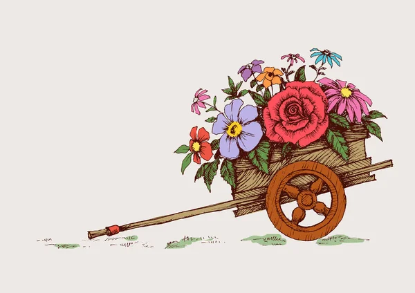 Tecknad Trädgård Skottkärra Med Blommor Trädgårdsblomma Vagn Isolerad — Stock vektor