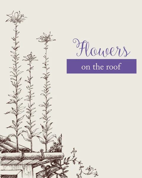 屋上庭園 手描きの家の屋根の上に咲く花 — ストックベクタ