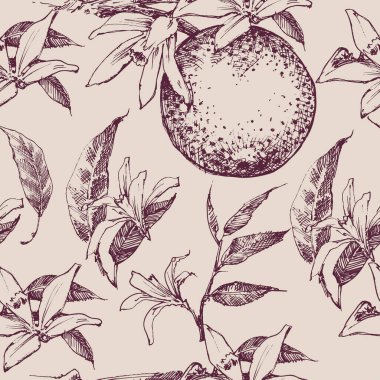 Turuncu meyveler ve yapraklar klasik tarzda kusursuz desen