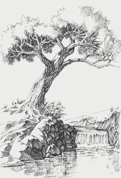 Olivový Strom Břehu Řeky Krajina Vektorové Kreslení — Stockový vektor