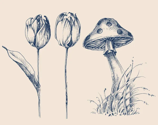 Elementos Diseño Naturaleza Juego Pliegues Hongos Tulipanes — Archivo Imágenes Vectoriales