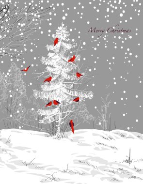 Kuşlar Noel ağacı, kış sahne