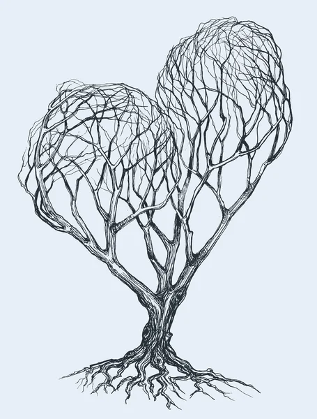 Graphic heart shaped tree sketch — Stock Vector