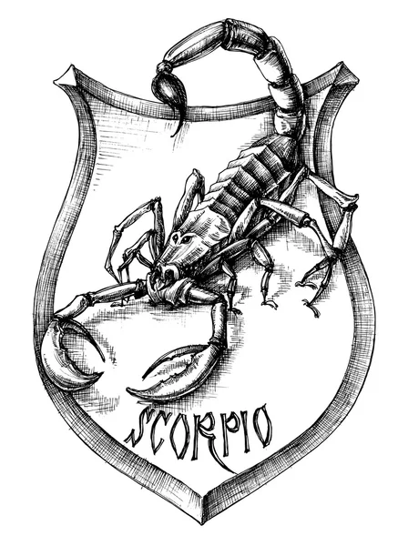 Scorpion heraldry scorpio zodiacal sign — Stock Vector