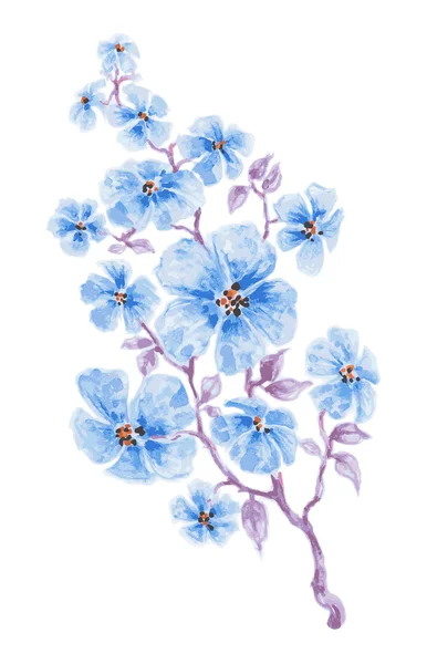 Fleurs bleues branche aquarelle, illustration vectorielle — Image vectorielle