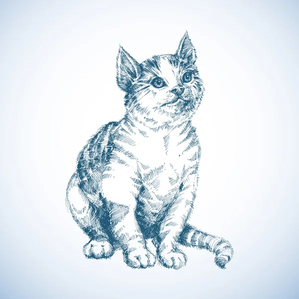 かわいい猫のスケッチ — ストックベクタ