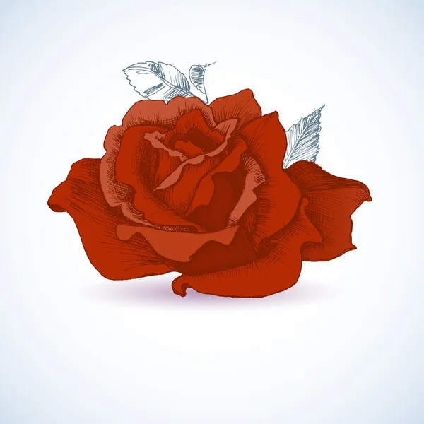 赤いバラのデザイン — ストックベクタ