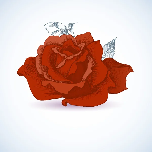 Diseño de rosa roja — Vector de stock