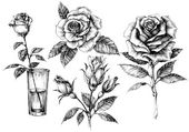 Rózsa beállítása, virágos design elemek gyűjteménye