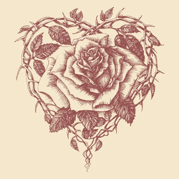 Herz rose vektor illustration — Stockvektor