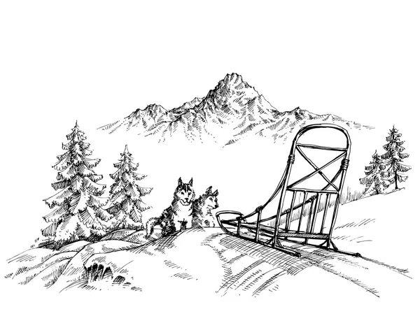 Winter mountain landscape, husky dogs sledding — Stock Vector