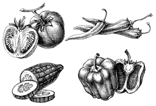 Conjunto aislado de verduras, estilo etch — Archivo Imágenes Vectoriales