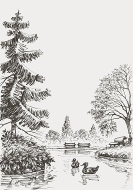 Park illüstrasyon çizdi