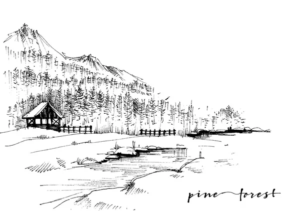 Croquis de forêt de pins — Image vectorielle