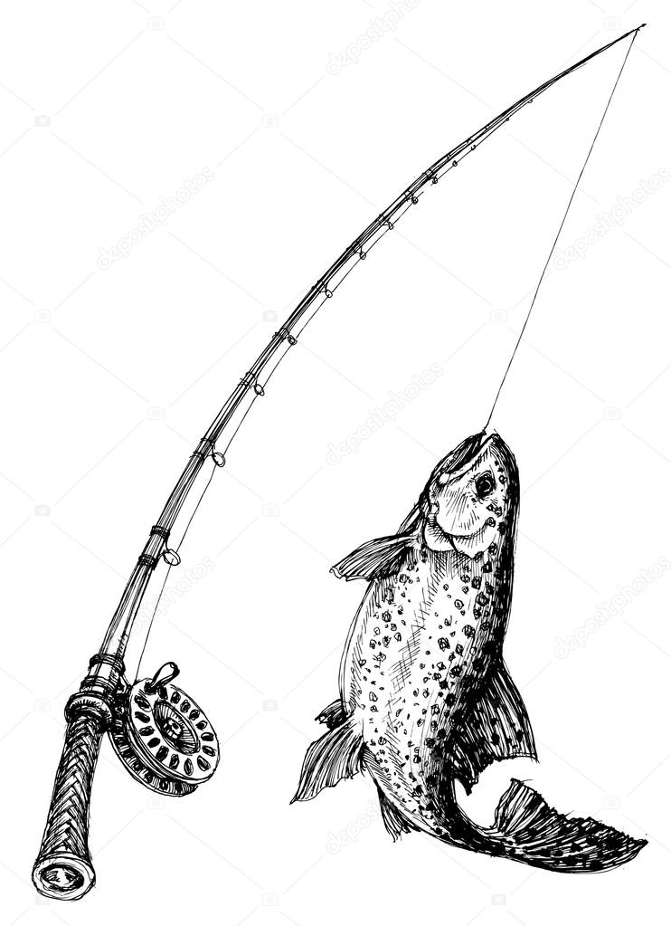 Fishing rod and fish isolated