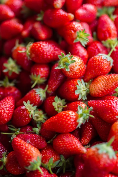 Fresh red strawberries sale at marketplace — Stock Photo, Image