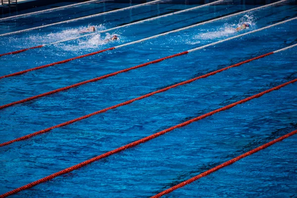 Olympic swimming pool with swimmer crawl race — Stock Photo, Image