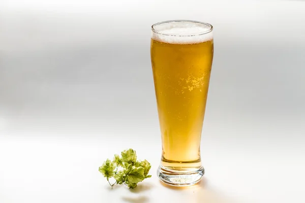 Helles Bier isoliert von weißem — Stockfoto