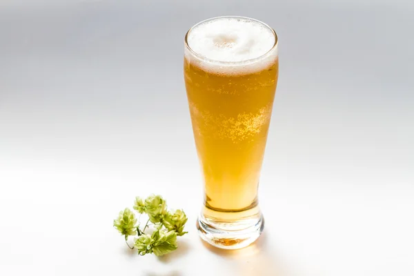 Birra leggera isolata dal bianco — Foto Stock