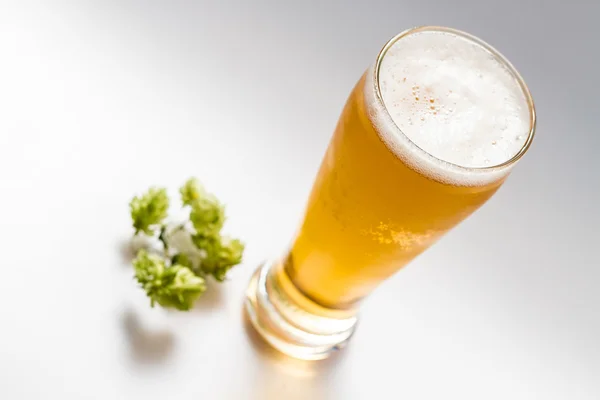 Helles Bier isoliert von weißem — Stockfoto