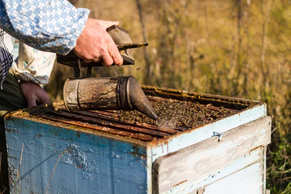 Imker workind op beehvies — Stockfoto