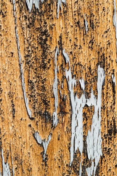 Old wood texture — Stock Photo, Image