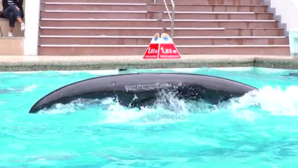 Kayaker Performing Consecutives Rolls For Santa Ana Summer Contest — Stockvideo