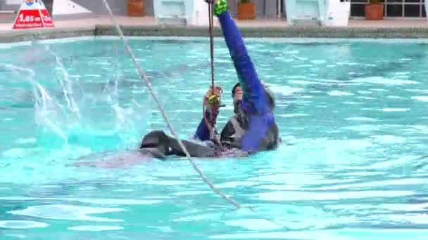 La guida professionale di canyoning dimostra la tecnica di salvataggio automatico per il concorso estivo di Santa Ana — Video Stock